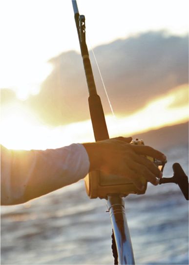 Pesca deportiva